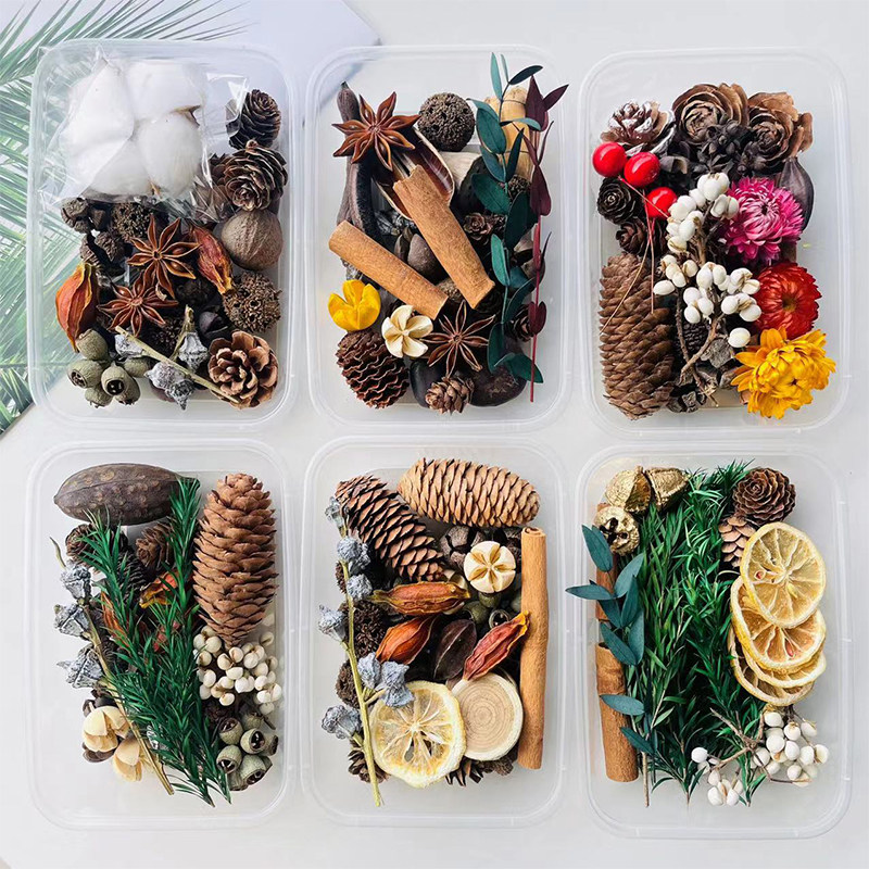 Dried Fruit Mix - مجموعة نباتات مجففة مختلطة بأسلوب الغابة