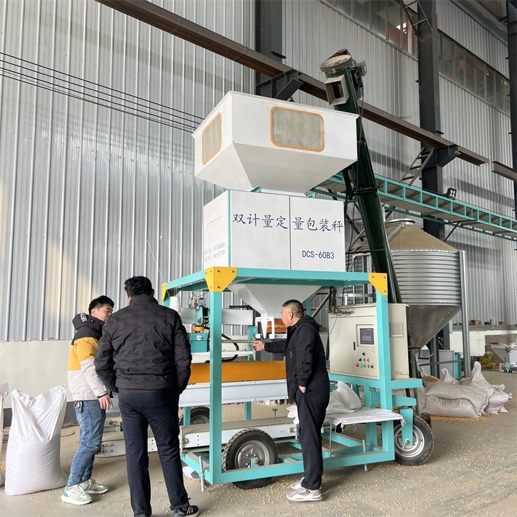 آلة تعبئة وتغليف مخصصة للفواكه - مراجعة Dried Fruit Mix وسعره