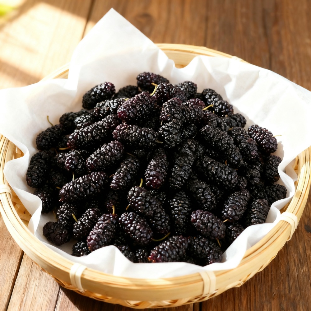 فواكه التوت المجففة الطبيعية ا - مراجعة Dried Fruit Mix وسعره